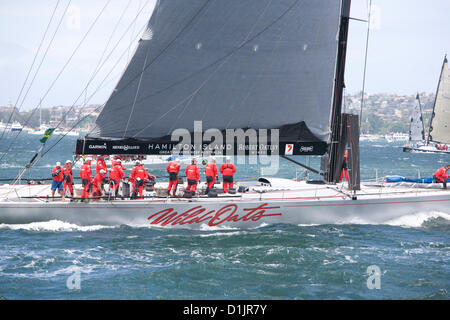 Sydney, Australie. 26 décembre 2012. rolex sydney to hobart yacht race 2012, wild oats x1 11 dans le port de Sydney pour le départ de la course. Banque D'Images
