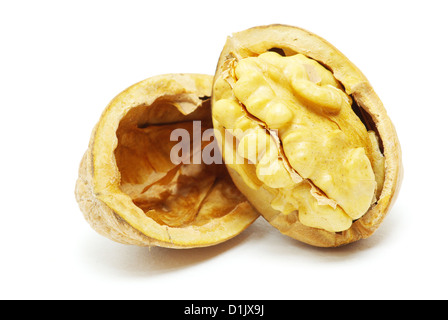 Noix fraîches isolées sur fond blanc Banque D'Images