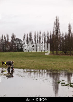 Croydon, Surrey, UK. 26 décembre 2012. Les promeneurs de chiens trop advantadge des conditions humides de laver leurs chiens le lendemain dans Lloyd Park, Croydon. 26 décembre 2012. Banque D'Images