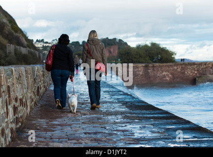 Teignmouth, Devon, Angleterre. 24 décembre 2012. Deux femmes et un chien en promenade le long de la digue, la veille de Noël. Banque D'Images