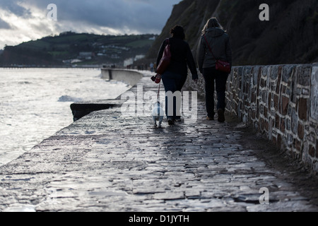 Teignmouth, Devon, Angleterre. 24 décembre 2012. Deux femmes et un chien en promenade le long de la digue, la veille de Noël. Banque D'Images