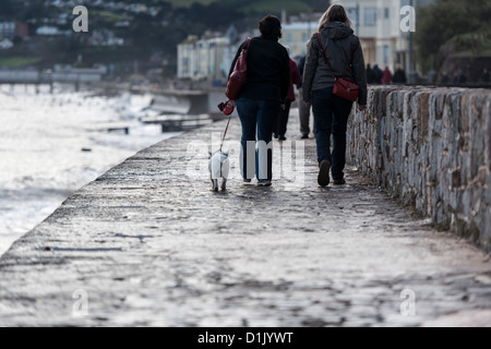 Teignmouth, Devon, Angleterre. 24 décembre 2012. Deux femmes et un chien en promenade le long de la digue, la veille de Noël. Banque D'Images