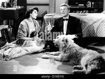 Von Katzen und Katern Grande Gueule, Mary Belney (Elizabeth Taylor), David Maldon (Van Johnson) *** légende locale *** 1950 -- Banque D'Images