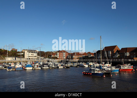 Bateaux dans port de plaisance de Sunderland à Sunderland, en Angleterre, UK. Banque D'Images