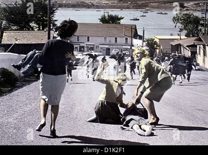 Les oiseaux meurent Voegel, Suzanne Pleshette, Tippi Hedren, Suzanne Pleshette,Annie (l) und Melanie (Tippi Hedren,r) versuchen, die Banque D'Images