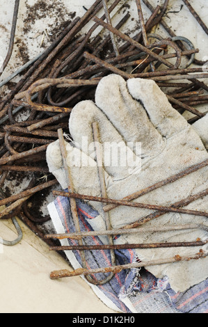 L'agriculture biologique et la notion de jardinage Gants de travail Banque D'Images