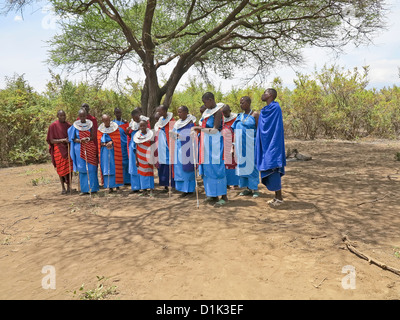 Grand groupe De Maasai les hommes et les femmes qui exécutent une danse et chanson en Tanzanie;l'Afrique de l'Afrique;dehors sous un arbre d'ombrage Banque D'Images