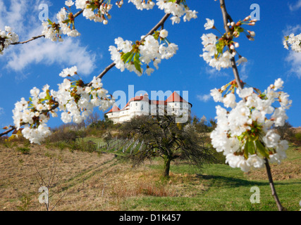 Château de Veliki Tabor - Croatie Banque D'Images