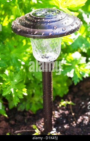 La lumière solaire de couleur bronze parmi le feuillage dans le jardin. L'accent est sur le panneau solaire sur le dessus de la lumière. Banque D'Images