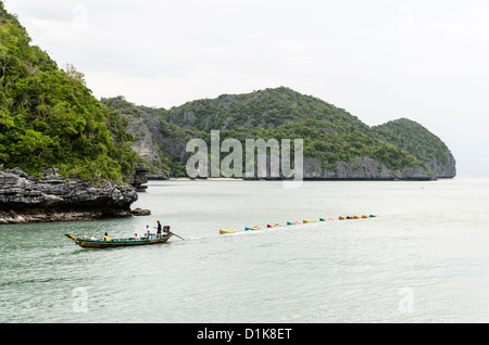 Bateau Longtail tire 11 kayaks de mer par les îles avec des falaises calcaires dans la région de Parc national maritime d'Ang Thong dans le sud de la Thaïlande Banque D'Images