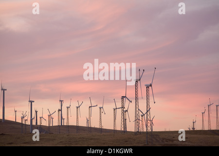 Les moulins à vent au coucher du soleil. Banque D'Images