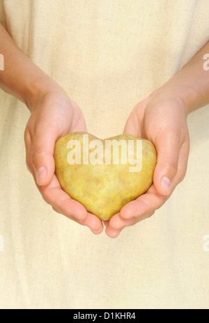 Mains de jeune femme tenant en forme de coeur de pomme de terre Banque D'Images
