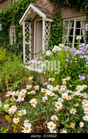 Chalet jardin et de fleurs. Argyranthemum frutescens. Beamish Museum, County Durham, England, UK Banque D'Images