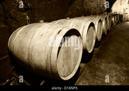 Tonneaux se reposant dans une cave. Lanciego. Route des vins de la Rioja Alavesa. L'Alava. Pays Basque. Espagne Banque D'Images