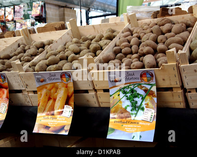 Les plants de pommes de terre en vente dans un grand centre de jardin, prêt pour la nouvelle saison de plantation, Décembre 2012 Banque D'Images