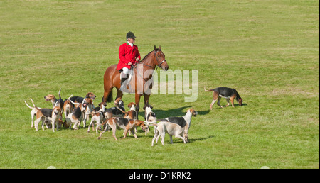 Maître et fox hounds. Le Perthshire, Écosse Country show Banque D'Images