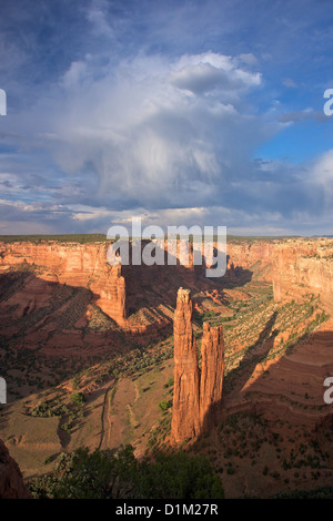 Rock Rock Spider Spider de négliger, Canyon de Chelly National Monument, Arizona, USA Banque D'Images