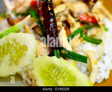 Riz thaï au poulet et noix de cajou Banque D'Images