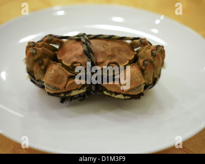 Crabe chinois gros crabe d'écluse Banque D'Images
