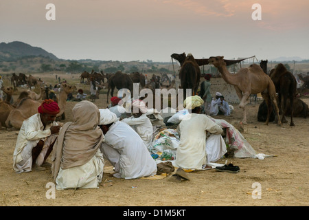Commerçants en chameau turbans colorés assister à la foire annuelle de chameau dans le désert de Thar en dehors de Pushkar Rajasthan Inde Banque D'Images