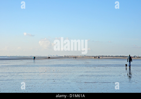 Les gens et les chiens en marchant sur la plage de West Wittering une marée basse, novembre. Banque D'Images