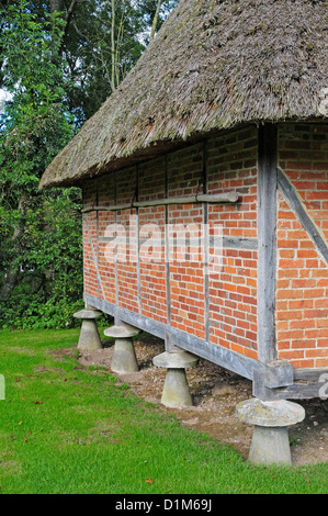 Steddle les pierres le grenier de Littlehampton. Weald et Downland Open Air Museum. Banque D'Images