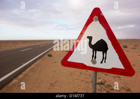 Road sign warning de chameaux traversant la route du désert de Marsa Matrouh à Siwa dans l'ouest du désert en Égypte. Banque D'Images