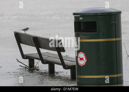 Parc inondés dans HUNTINDON CAMBS APRÈS LA RIVIÈRE GREAT OUSE BURST IL BANQUES. Banque D'Images