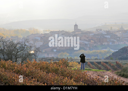 Un village de Badaran vignobles, Cardenas, vallée de la région viticole de Rioja, Espagne, Europe Banque D'Images