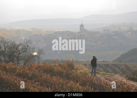 Un village de Badaran vignobles, Cardenas, vallée de la région viticole de Rioja, Espagne, Europe Banque D'Images