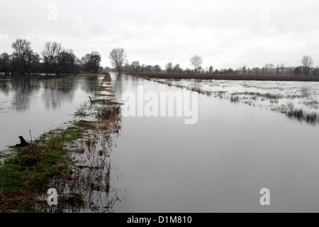 Plus de rivière qui coule et champs inondés sur les niveaux de Somerset en décembre 2012, l'interruption pour les agriculteurs et le mode de vie rural. Banque D'Images