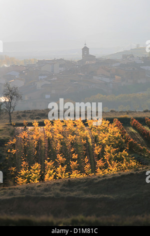 Un village de Badaran vignobles, Cardenas, vallée de la région viticole de Rioja, Espagne, Europe Banque D'Images