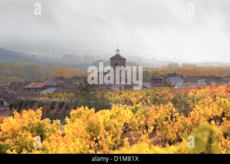 Un village de Badaran vignobles, Cardenas, vallée de la région viticole de Rioja, Espagne, Europe Banque D'Images