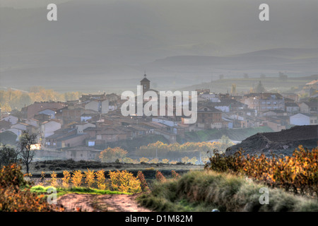 Un village de Badaran vignobles, Cardenas, vallée de la région viticole de Rioja, Espagne, Europe Banque D'Images