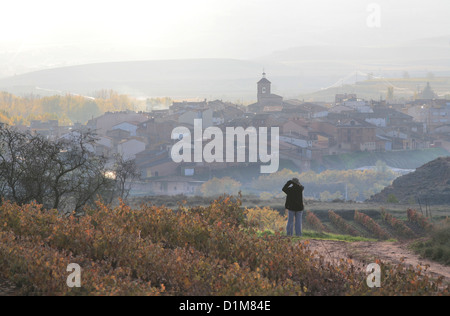 Un village de Badaran vignobles, Cardenas, vallée de la région viticole de Rioja, Espagne, Europe Banque D'Images