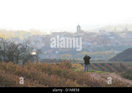 Un village de Badaran vignobles, Cardenas, vallée de la région viticole de Rioja, Espagne, Europe Banque D'Images