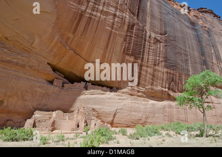 Canyon de Chelly National Monument Arizona ancienne maison à l'ancienne peuples pueblo (également appelé indiens Navajo et Anasazi) Banque D'Images