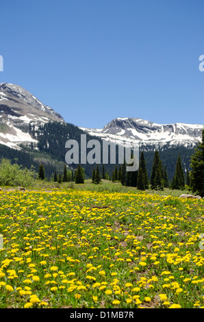 Camping Lac Molas haut au-dessus de la ville de Silverton Colorado dans les montagnes de San Juan Banque D'Images