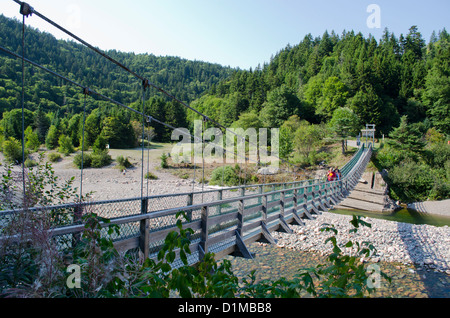 Pont suspendu traversant la rivière à saumons dans le parc national Fundy Nouveau-Brunswick Canada Banque D'Images