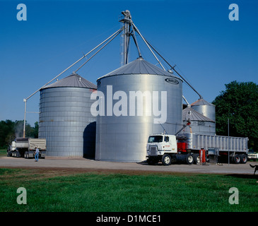Chargement DU GRAIN EN CHARIOT DE STOCKAGE À LA FERME / MARYLAND Banque D'Images