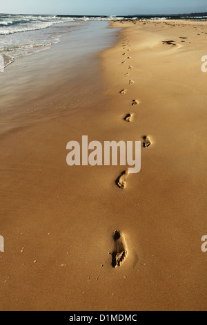 Un groupe d'empreintes de pas dans le sable humide sur une plage déserte, au petit matin, avec des vagues dans l'arrière-plan. Banque D'Images