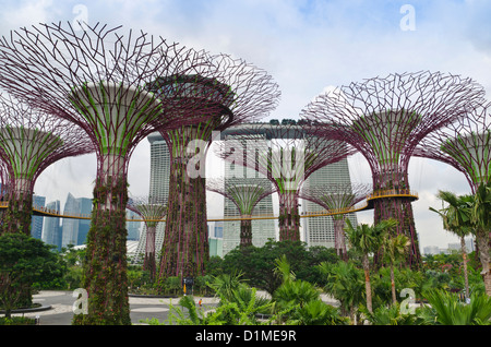 Singapour Supertree Grove dans les jardins de la baie avec le Marina Bay Sands à Singapour, l'arrière-plan Banque D'Images