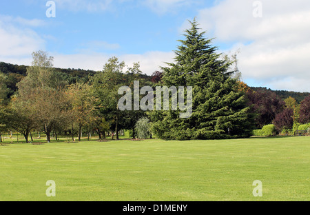 Vue panoramique du magnifique parc en pleine campagne avec de l'herbe en premier plan. Banque D'Images