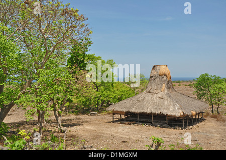 L'INDONÉSIE, Sumba, Prailiang, village perché avec ses toits de chaume traditionnel fait de haut, typique de l'île Banque D'Images