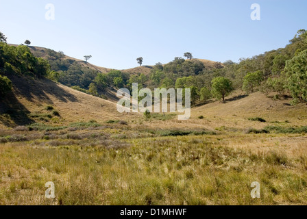 Une scène rurale, près de Mudgee, New South Wales, Australie Banque D'Images