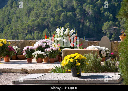 Deià, Majorque, Iles Baléares, Espagne. Fleurs colorées dans le cimetière de l'église paroissiale, l'Església de Sant Joan Baptista. Banque D'Images