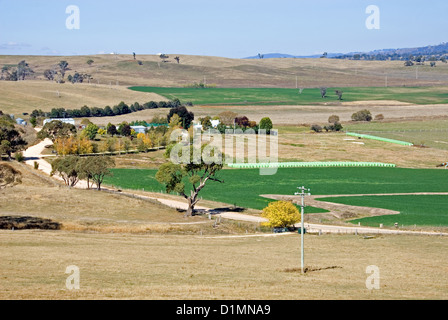 Parcelles irriguées dans une région touchée par la sécheresse de la Nouvelle Galles du Sud, Australie Banque D'Images