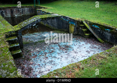 Un vide et ruiné piscine extérieure, couverts de mousse et de cueillette des feuilles mortes dans un jardin abandonné Banque D'Images