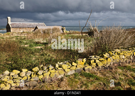 La chapelle de St Cuthbert, Inner Farne, Iles Farne, Northumberland, England Banque D'Images