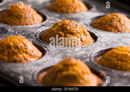 Muffins à la citrouille en allant au four Banque D'Images